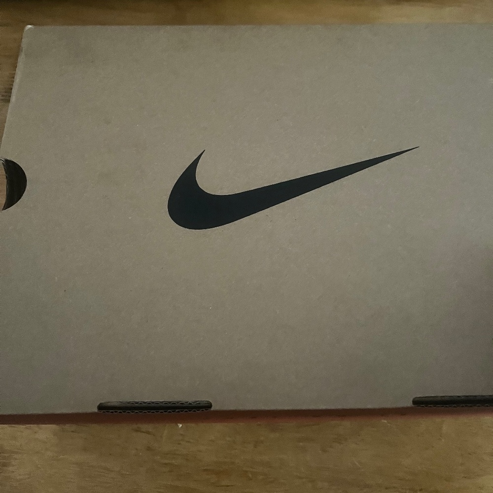 Air Jordan retro 12’s